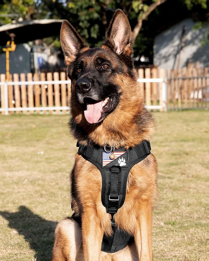 Tactical Dog Harness - PETNANNY Service Dog Vest for Large Dogs Fully Body Coverage in Training Dog Harness with 2 Reflective Dog Patches, Handle, Hook and Loop Panels, Dog MOLLE Vest (Black, M)