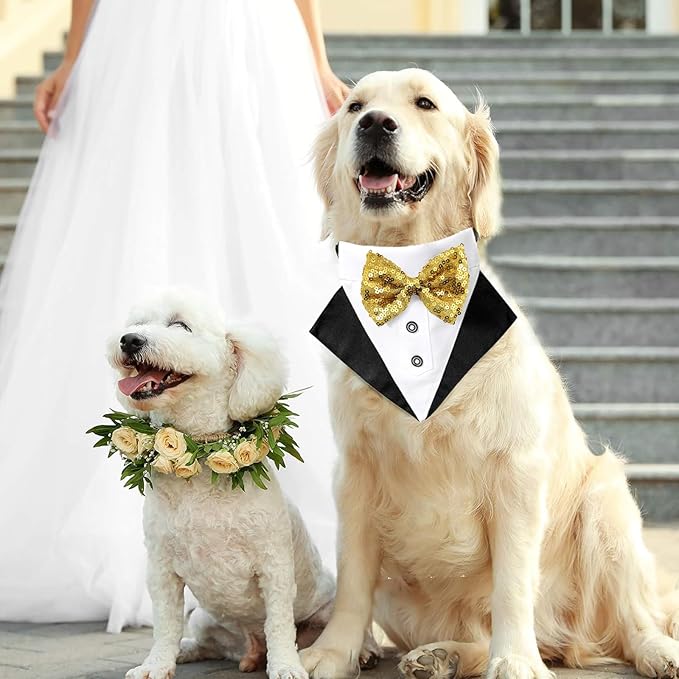 Tuxedo Costume Wedding Bandana Nylon Collar Suit With Gold Bow Tie Adjustable Black Tux Formal Dog Clothes for Small Medium Large Pet Birthday Christmas Dress Outfits