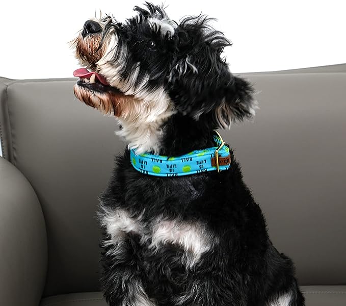 Lionet Paws Dog Collar, Comfortable Adjustable Cute Collar with Metal Buckle for Male Female Puppies and Cats, Tennis Ball Pattern, XS, Neck 8-12 inches