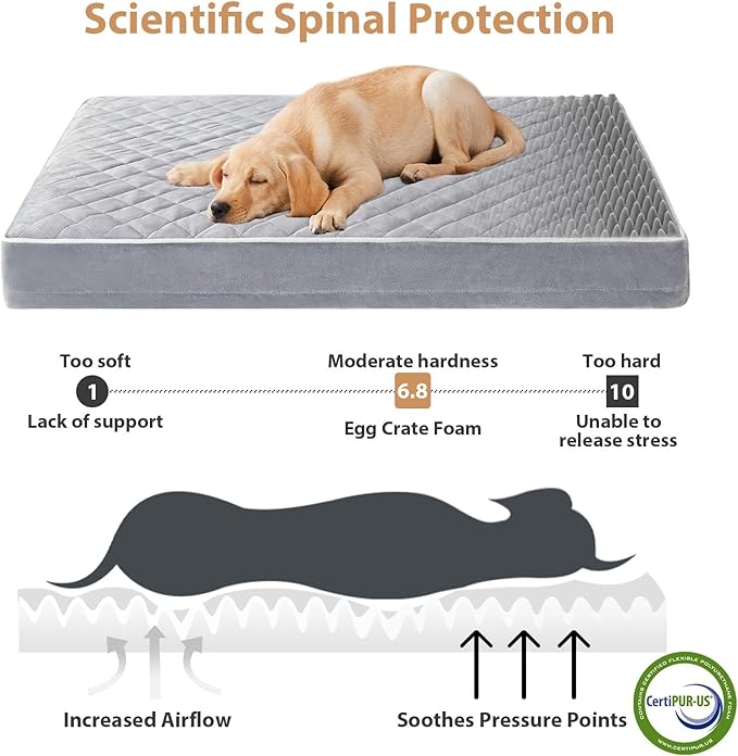 WNPETHOME Orthopedic XL Dog Bed for Crate, Waterproof Extra Large Dog Bed with Removable Washable Cover & Anti-Slip Bottom, Egg Crate Foam Pet Mat, Multi-Needle Quilting Pet Bed