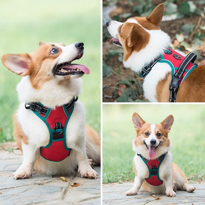 PHOEPET No Pull Dog Harness, Unique Colors Reflective Adjustable Dog Vest, with Soft Training Handle Metal Clips for Small Medium Large Dogs (Red Base & Teal Straps,XL)