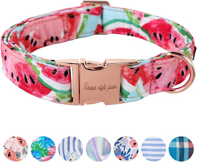 Unique Style Paws Dog Collar Metal Buckle Watermelon Cute Collar for Small Medium Large Dogs