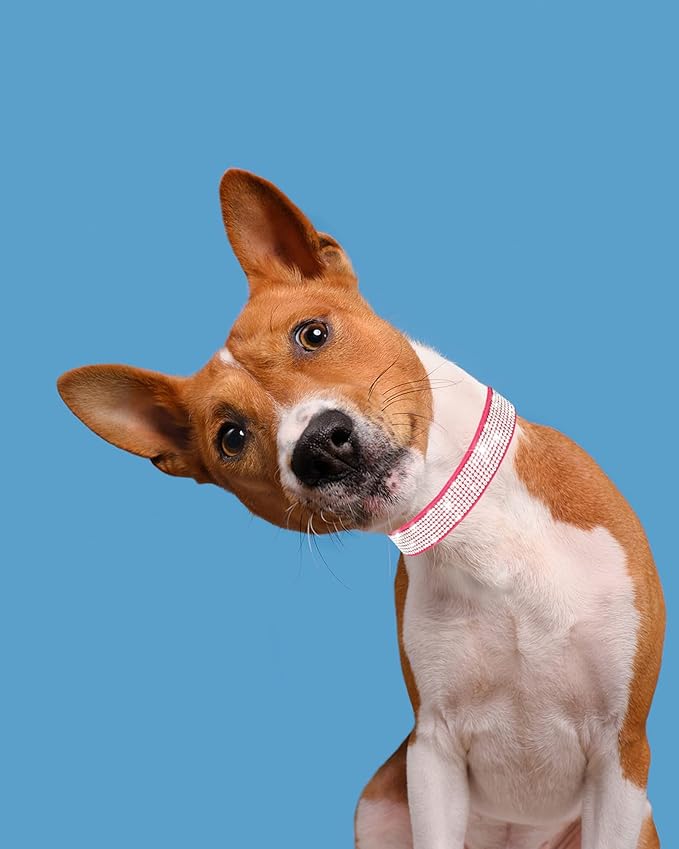 Dog Collar for Large Dogs, Adjustable Leather Suede Bling Dog Collars,Rose Red Dog Collar Cat Collar, Rhinestone Dog Collar