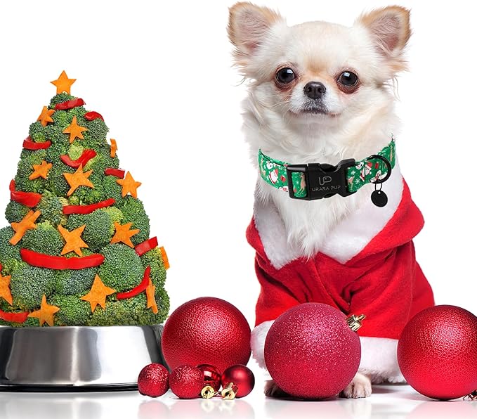 Christmas Santa Claus Dog Collar, Cute Christmas Elk Collar for Puppy Girl Boy Dog, Adjustable Christmas Green Dog Collar for Small Medium Large Dogs