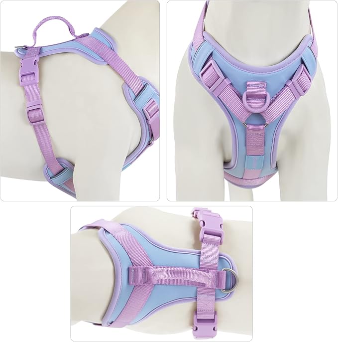 No Pull Dog Harness Adjustable Soft Padded Pet Vest with Control Handle Adorable Daily Harness for Dogs(Spun Sugar M)