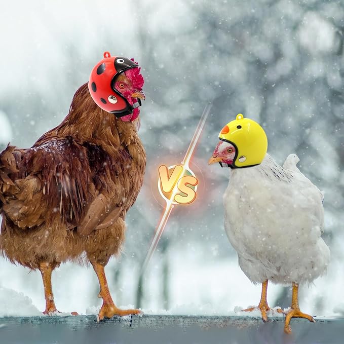 8 Pcs Chicken Helmet Safety Chicken Hats Adjustable Elastic Helmet Hens Helmet Parrot Bird Hat Pet Costumes for Small Pet Chicken Parakeet Pet Supplies
