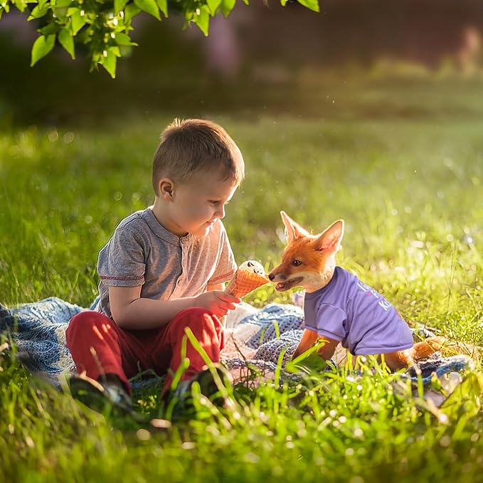 6 Pack Dog Clothes for Small Dogs Girl, Soft and Breathable Puppy Kitten Dog Shirts with Letters for Pet Cats, Summer Dogs' T-Shirts Apparel Sleeveless Vests for Chihuahua Yorkies (XL)