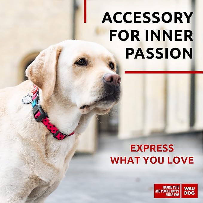 WAUDOG Nylon Dog Collar - Adjustable Dog Collar for Large Dogs, Small & Medium Dogs - Breakaway Puppy Collars for Large Breed Dogs - Boy & Girl Dog Collars with Durable Plastic Buckle and QR Dog Tag