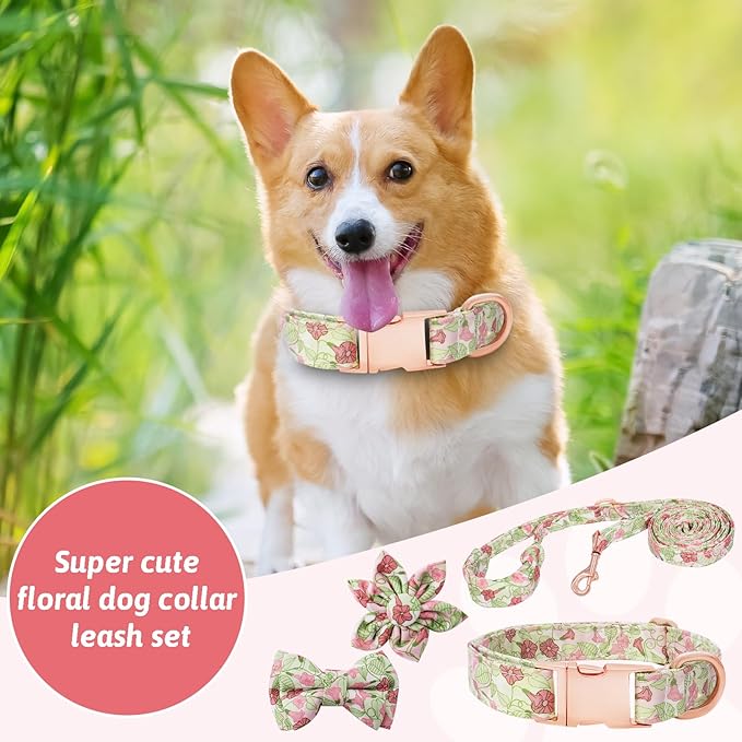 Dog Collar and Leash Set Girls Adjustable Puppy Collars with Floral Bow Tie for Small Medium Large Female Dogs, Morning Glory, M