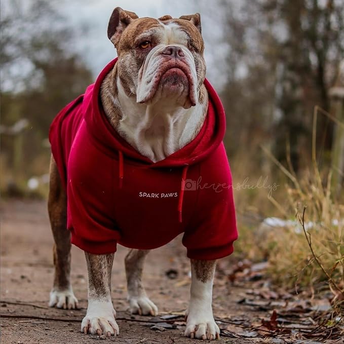Spark Paws Dog Hoodie - Premium Quality, Buttery Soft, Superior Comfort and Fit, Calming Fleece Interior, Suitable for All Breeds - Burgundy - XL