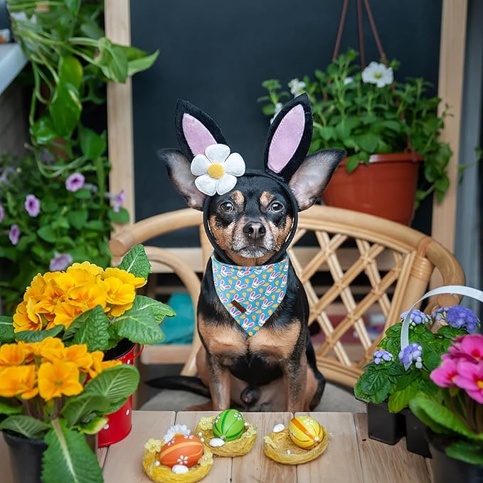 Unique Style Paws Dog Easter Bandanas 2Pcs Washable Cotton Triangle Colorful Rabbit Carrot Dog Scarfs for Small Medium Large Dogs and Cats
