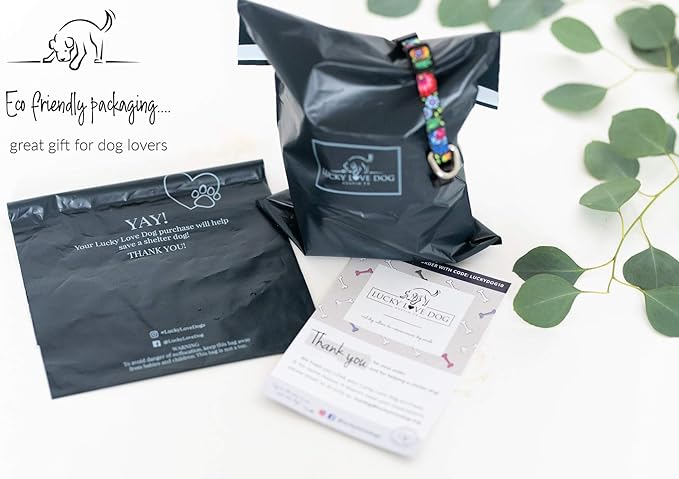 Lucky Love Dog Collar and Leash Combo, Cute Collar and Leash Set for Large Female Dogs, Part of Purchase Donated to Rescue (Large, Caroline, Combo)