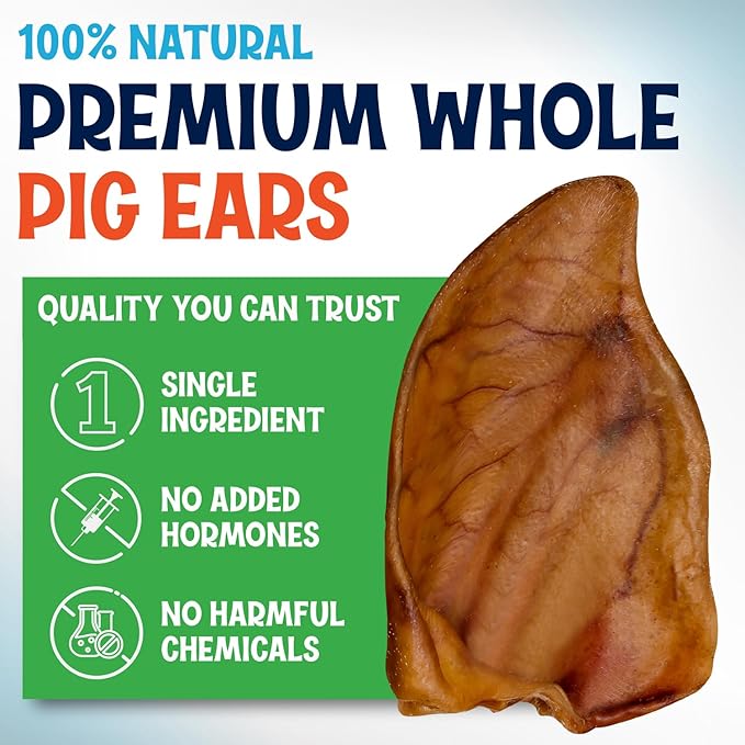 Whole Pig Ears for Dogs Large - 15 Pack Long Lasting Dog Chews โ Dog Treats One Ingredient Delicious All Natural Flavor โ Easy to Digest Dog Treats for Large Dog - Great for Teeth and Gums