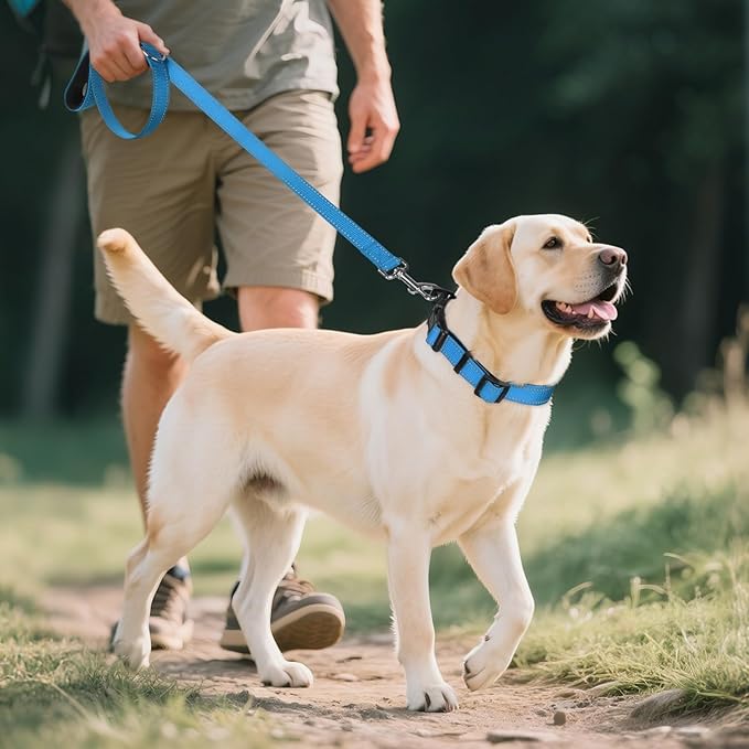 Joytale Reflective Dog Collar,Soft Neoprene Padded Breathable Nylon Pet Collar Adjustable for Large Dogs,Sky Blue,L