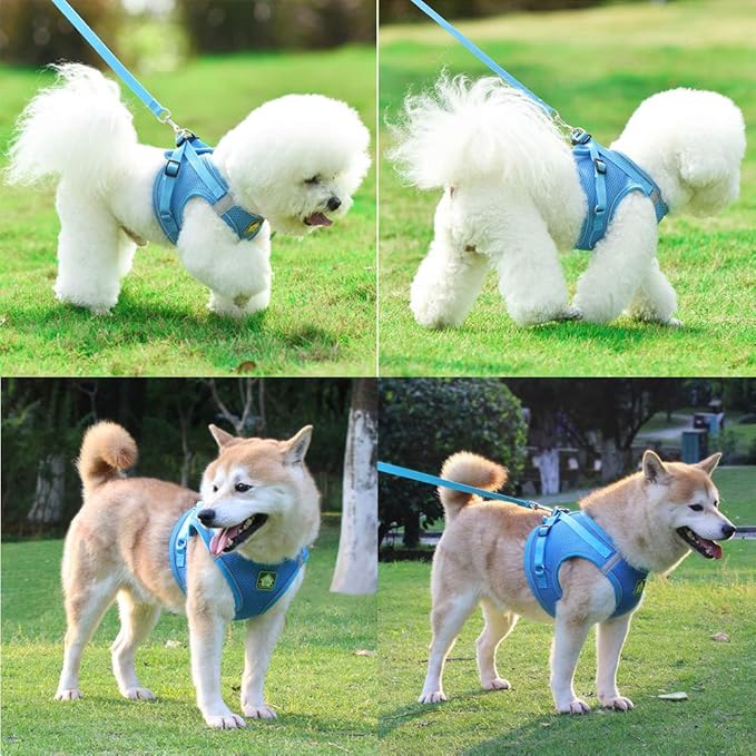 leconpet Step in Dog Harness, Vest Harness and Leash Set for Small Medium Dogs, Puppy Harness, Mesh Reflective Dog Harness Vest (Blue, XS)