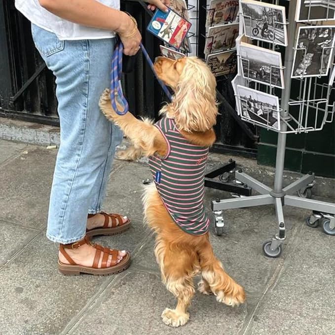 Little Beast Dog Clothes - Pet Clothes for Large, Medium, and Small Dogs (Dog Shirts Come in Multiple Colors and Styles) - Size: Large Dogs, Dark Green/Red