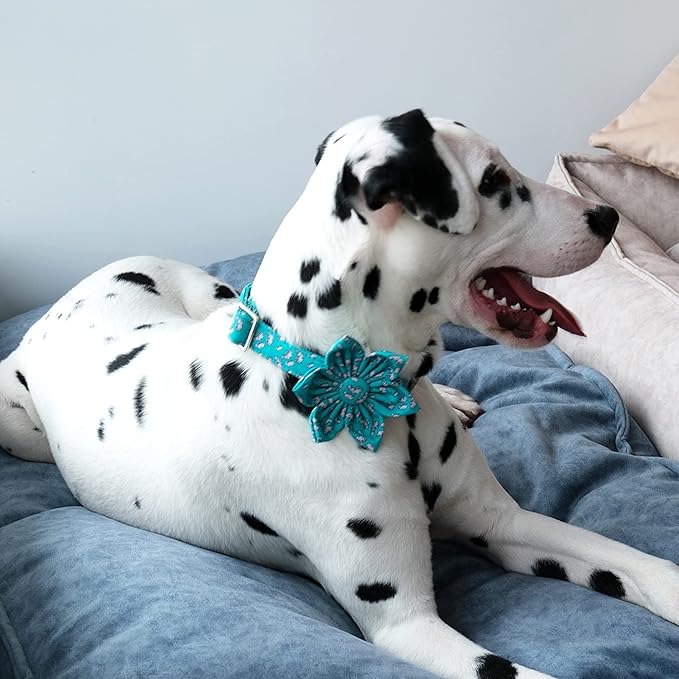 Lionet Paws Summer Female Dog Collar with Flower, Soft Comfortable Adjustable Manatee Collar for Large Dogs, Neck 16-24 inches