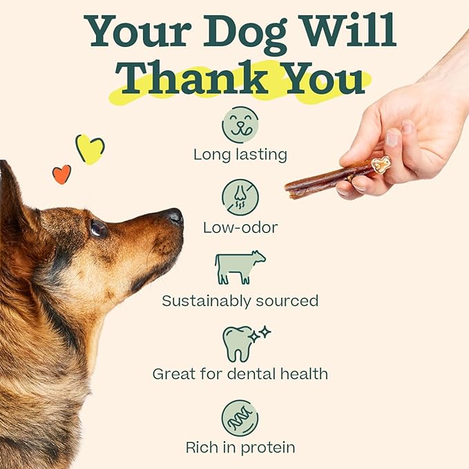 WOOF Bully Sticks Dog Treats - Chew Sticks for Dogs - Long-Lasting Dog Chew Treats - Products Made with Free-Range, Grass-Fed Beef - 6" Sticks - 10pk