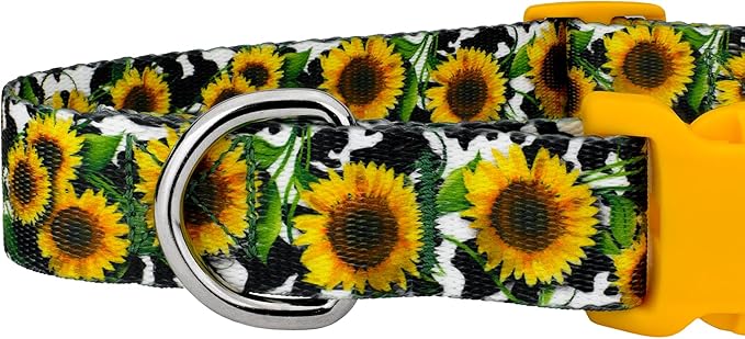 Country Brook Petz - Deluxe Dairy Fields Dog Collar - Made in The U.S.A. - Country and Western Collection Featuring Rustic Designs (1 Inch, Large)