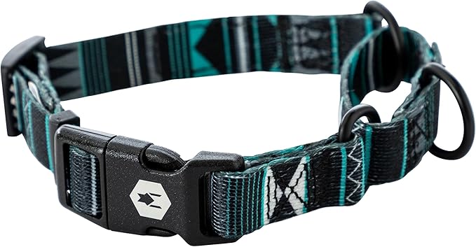 Wolfgang Heavy Duty Martingale Dog Collar with Quick Release Nylon Buckle for Walking & Training, WesternSky Print, Medium
