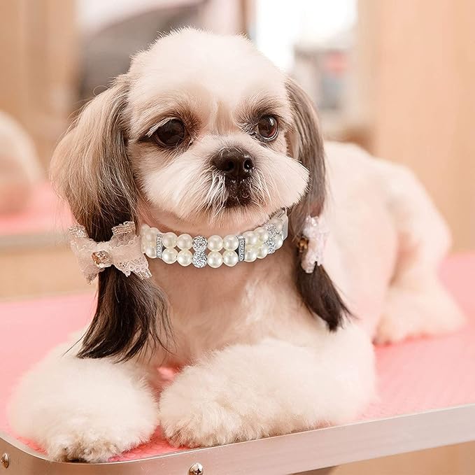 White Beaded Dog Collars, Pearl Cat Collar Leash Set Pu Leather Puppy Necklace with Crystal Rhinestone Diamond for Girl Kitten XXSmall Small Medium Female Dogs Jewelry Wedding & Birthday Party, M