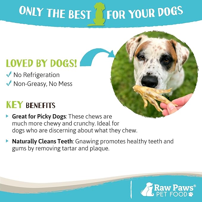 Raw Paws Dried Chicken Feet Dog Treats (10 Count) - Packed in USA - Dehydrated Chicken Feet for Dogs - Natural, Single Ingredient Chews