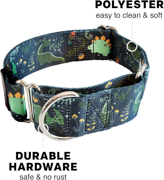 Downtown Pet Supply - Martingale Collar for Dogs - Dog Training Collar - Big, Wide & Thick Dog Collar - Escape-Proof, Weatherproof, Durable and Comfortable - Dino - Small Dog Collar