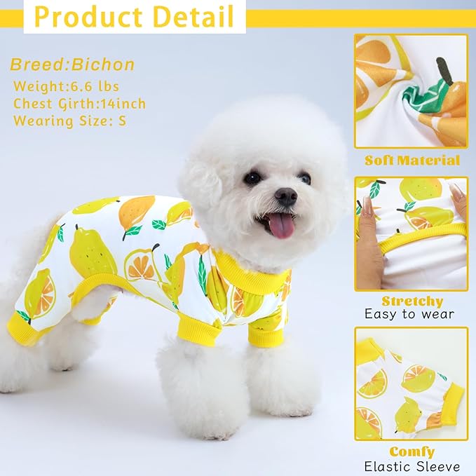 XPUDAC 4 Pieces Dog Pajamas Small Sized Dogs Boy Girl Strechy Soft Pjs Summer Pet Clothes for Dog Cat Puppy Onesies, 2XL