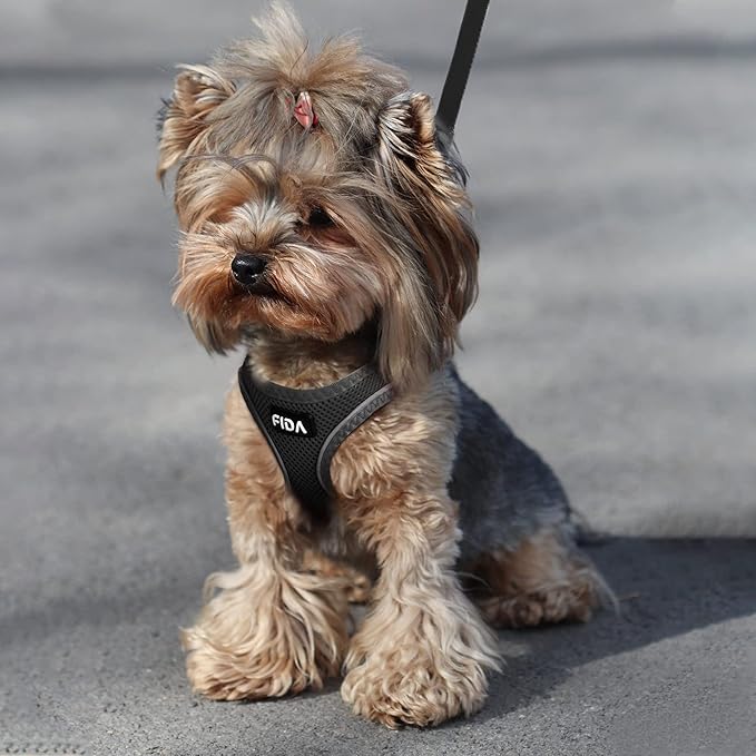 Fida Comfy Dog Harness with Leash, Soft Puppy Vest Escape Proof, Breathable Lightweight Soft Mesh, Adjustable Reflective Step-in Harness for Small Pet Walking (S, Black)