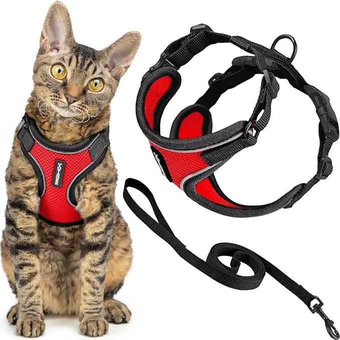 Voyager Escape Proof Cat Harness and Leash Set with Reflective Stitching, Neoprene Handle 5ft - Supports Small, Medium and Large Cats, Kittens for Walking by Best Pet Supplies - Black Trim-Red, XXS