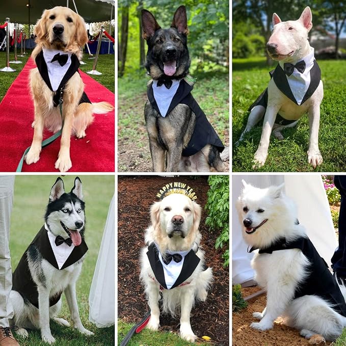 Tuxedo & Bandana Set, 2 Pack Pet Costume: Puppy Formal Party Suit - Dog Clothes for Small, Medium & Large Dogs - Prince Bow Tie Shirt - Wedding Attire for Golden Retriever & Samoyed (S)