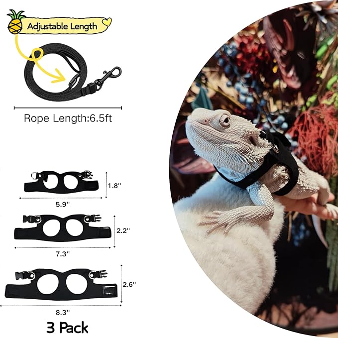 Bearded Dragon Harness and Leash Set, Adjustable Harness Soft Leather-3 Sizes (S, M, L) with Leash, Lizard Reptile Traction Rope Walking Vest Accessories for Bearded Dragon, Iguana or Gecko (Black)