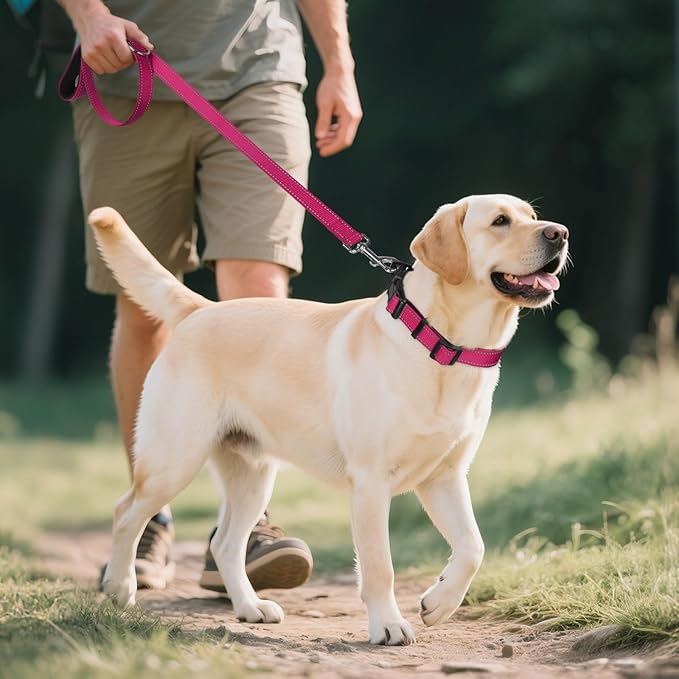 Joytale Reflective Dog Collar,Soft Neoprene Padded Breathable Nylon Pet Collar Adjustable for Extra Large Dogs,Hotpink,XL