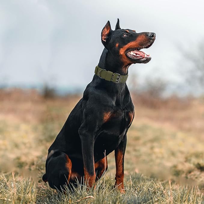 Tactical Dog Collar Military Adjustable Dog Collars Soft Nylon K9 Training Collar with Patch Heavy Duty Metal Buckle Collars for Medium Large Dogs (Green, M)