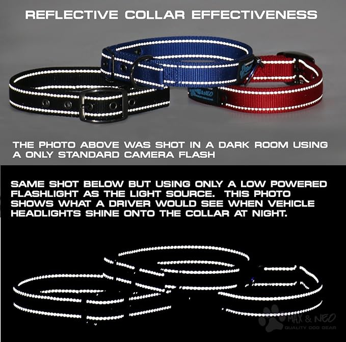 Max and Neo MAX Reflective Metal Buckle Dog Collar - We Donate a Collar to a Dog Rescue for Every Collar Sold (Large, RED)