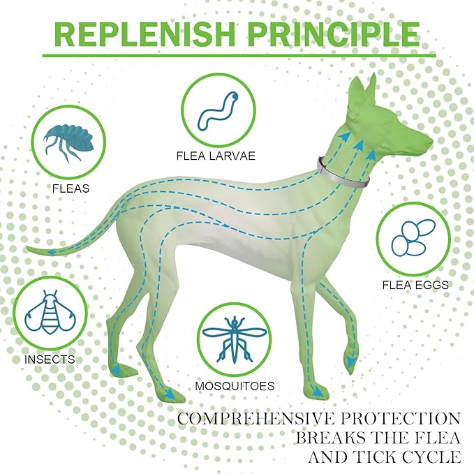 Flea Collar for Dogs, 8-Month Protection, Adjustable Flea and Tick Collar for Medium, Large Dogs, Waterproof & Safe Flea Prevention, Effective Tick Treatment, Includes Flea Comb & Treatment Drops
