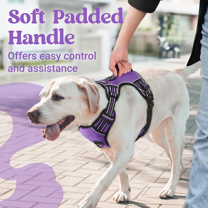 rabbitgoo Dog Harness for Large Dogs, No Pull Pet Harness with Soft Padded Handle, Adjustable Reflective Vest with 3 Buckles, Easy Walking Harness with 2 Leash Clips, Purple, M