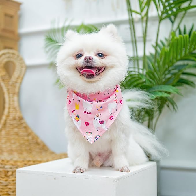 PUPTECK Adjustable Dog Harness Collar and Leash Set, Step in No Pull Pet Harness for Small Medium Dogs Puppy Cats Outdoor Walking, Soft Mesh Padded Reflective Vest Harnesses, Light Pink Alpaca, XXS