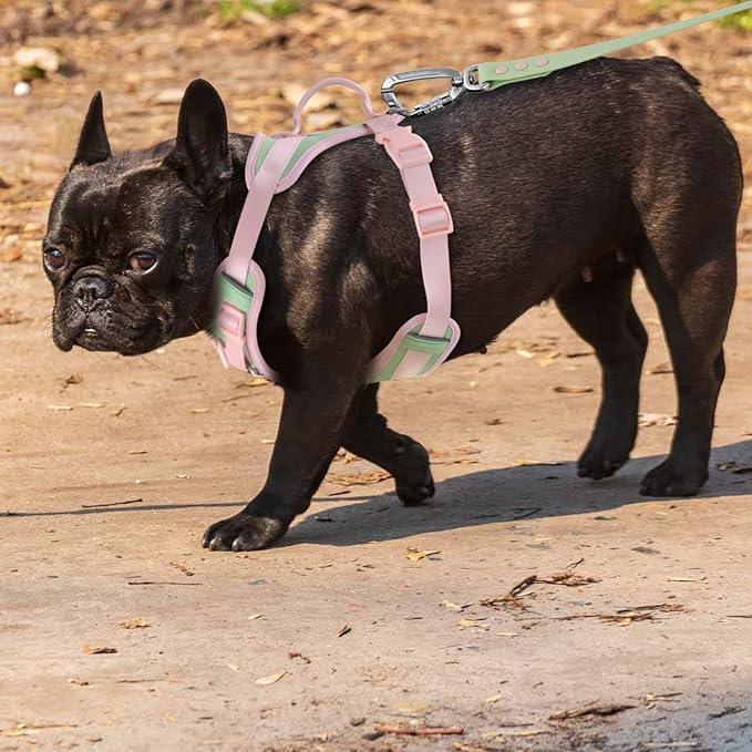 No Pull Dog Harness Adjustable Soft Padded Pet Vest with Control Handle Adorable Daily Harness for Dogs(Mint Green XS)