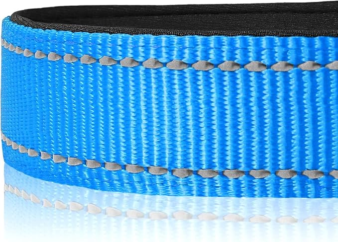 Joytale Reflective Dog Collar,Soft Neoprene Padded Breathable Nylon Pet Collar Adjustable for Medium Dogs,Sky Blue,M