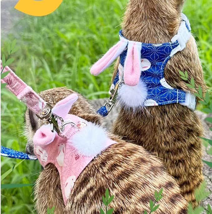 Ferret Harness and Leash Set with Bell - Small Animal Accessories - Bunny Ears Costume for Baby Rabbit, Guinea Pig and Small Pets - Blue