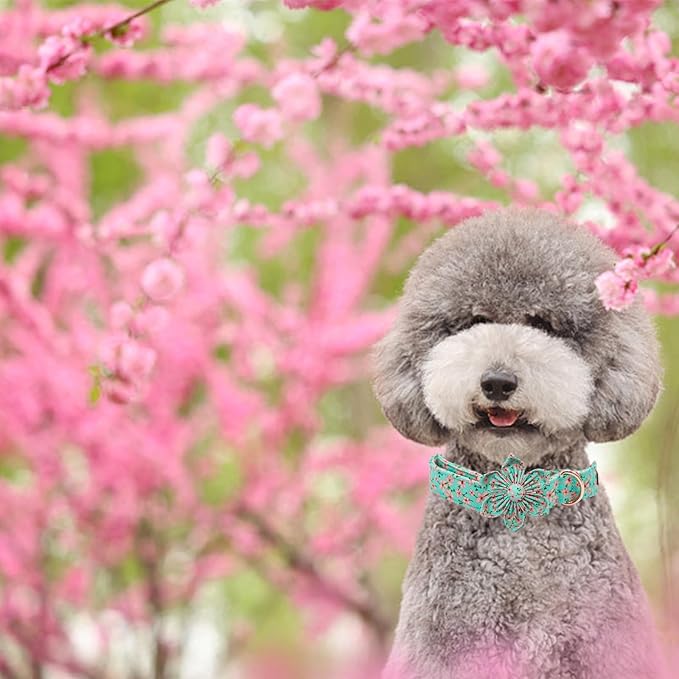 Elegant little tail Dog Collar, Spring Pet Collar with Flower Dog Durable Pink Flower Print Dog Collars Girl Pet Gift Adjustable Dog Collar for X-Small Dogs