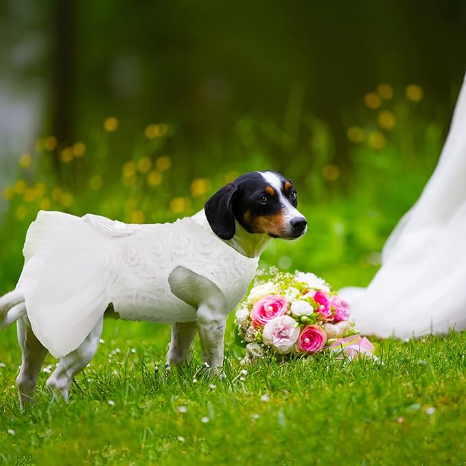 QBLEEV Dog Dress - Small Dog Wedding Attire, White Lace Tutu Skirt, Sweet Flower Girl Dress, Puppy Bride Costume Summer Apparel Formal Clothes for Wedding Party Holiday, XXS