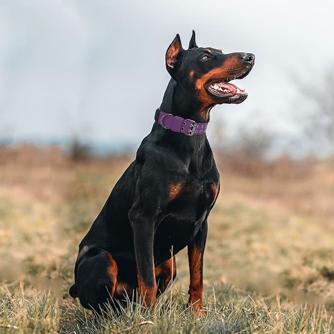 Tactical Dog Collar Military Adjustable Dog Collars Soft Nylon K9 Training Collar with Patch Heavy Duty Metal Buckle Collars for Medium Large Dogs (Violet, L)
