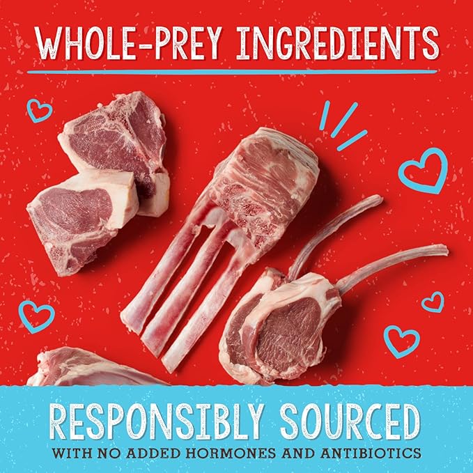 Stella & Chewy's Freeze-Dried Raw Dog Food for Immune Support - Grass-Fed Lamb - Natural Solution for Immune Defense & Overall Wellness - Premium Raw Nutrition - 13oz