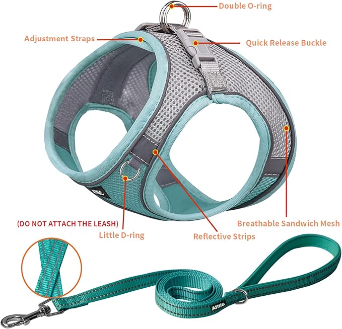 AIITLE Step in Dog Harness and Leash Set - Spring No Pull Escape Proof Vest Harnesses with Soft Mesh and Reflective Bands, Adjustable Pet Outdoor Harnesses for Small and Medium Dogs Turquoise M