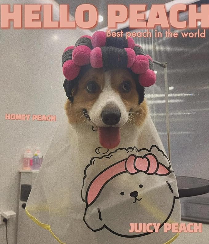 Spa Day Dog Costumes Cosplay Cape, Curly Hair Dog Robe for Halloween Parties Dog Hats Wigs for Small Medium and Large Dogs Adjustable(Neck Circumference 22-32cm/8.6-12.6in)