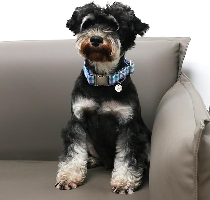Blue Plaid Summer Cotton Dog Collar with Metal Buckle Gift Collar for Small Medium Large Girls or Boys Dogs Cute Durable Comfortable Pet Collars