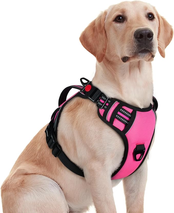 rabbitgoo Dog Harness Medium Sized, No Pull Pet Harness with Soft Padded Handle, Adjustable Reflective Vest with 3 Buckles, Easy Walking Harness with 2 Leash Clips, Pink, M