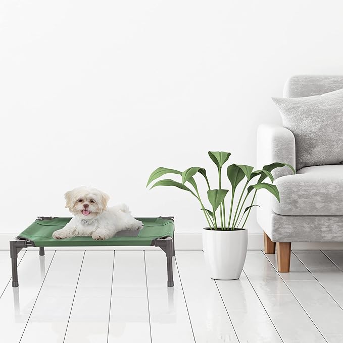 Elevated Dog Bed – 24.5x18.5 Portable Bed For Pets With Non-Slip Feet – Indoor/Outdoor Dog Cot Or Puppy Bed For Pets Up To 25lbs By Petmaker (Green)